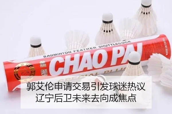 郭艾伦申请交易引发球迷热议 辽宁后卫未来去向成焦点